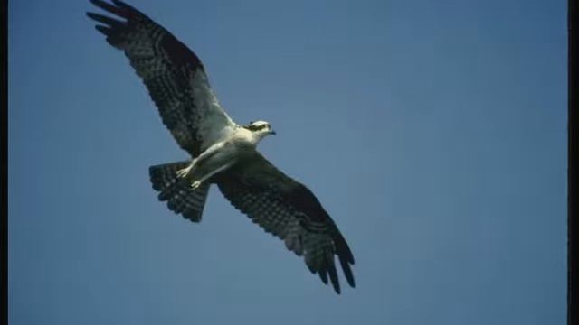 Мир Огненный-3 (381-460) смотреть онлайн