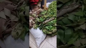 Огнемётчики и танкисты в гостях у полк Марго.