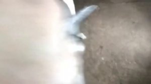 Быстрая и простая замена заднего амортизатора VW Polo '11г.в.