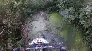 ПИТБАЙК JMC 140 MX 14/12 и  BSE PH10-140E 17/14