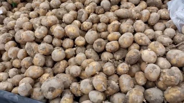Финская картошка. Как правильно выбрать картошку в финском магазине смотреть онлайн