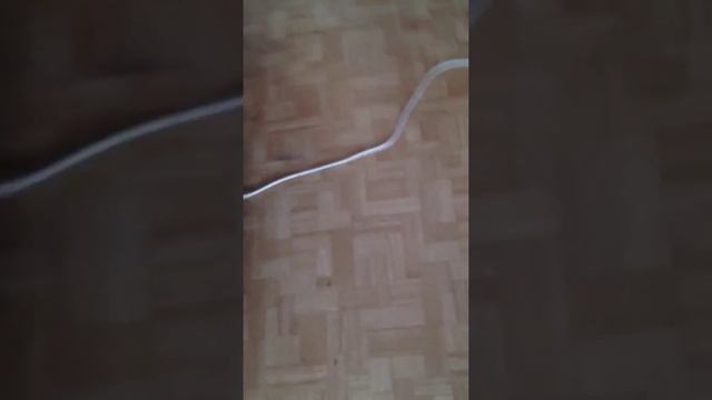 Разогрел пиццу смотреть онлайн