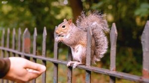 Музыка для глубокого сна и расслабления для души - Нежная мелодия, чтобы быстрее заснуть