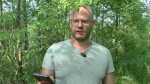 Шекспир сонет 14