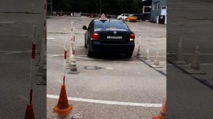 суетолог в деле)