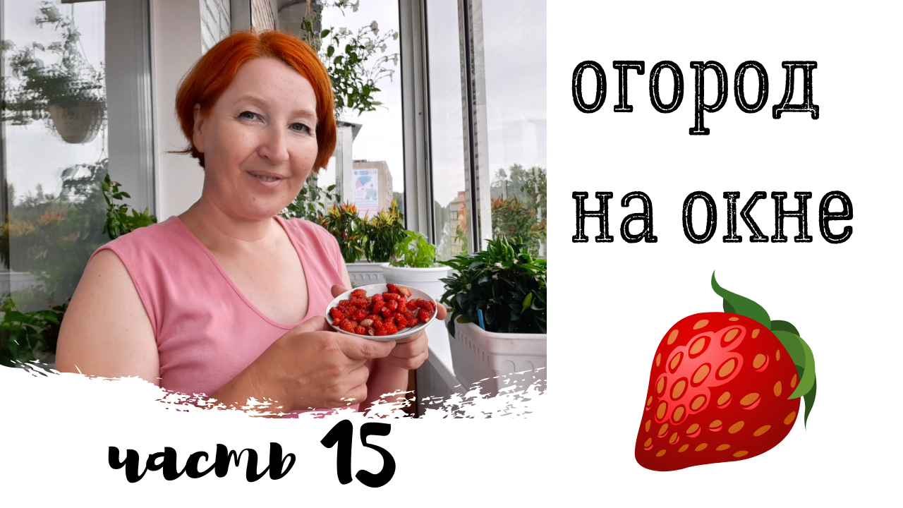 Огород на окне. Часть 15. 4 июля 2021.mp4