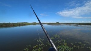 Вазузское водохранилище летом .Рыбалка на спиннинг.