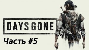 Days Gone #5