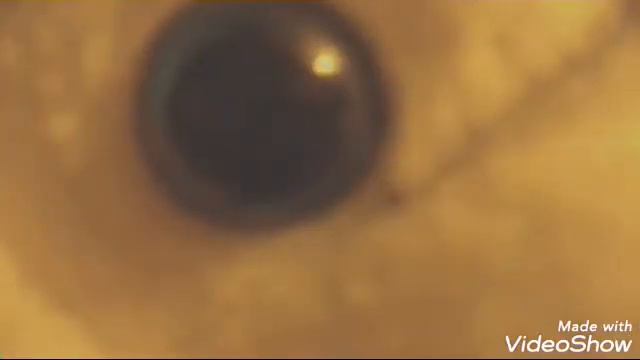 Видео из фото 2 смотреть онлайн