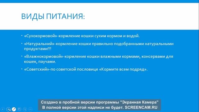 30.Питание кошки. Виды Питания. смотреть онлайн