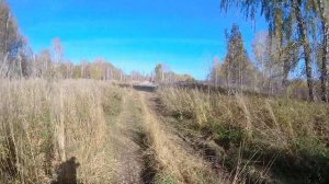 Охота на боровую дичь с дратхааром.