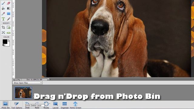 Photoshop Elements Tutorials for Beginners Add a Photo to a Layer смотреть онлайн