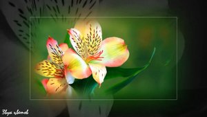 Невероятно красивая и Проникновенная музыка! Трогает до глубины души и уносит вдаль…Сергей Грищук