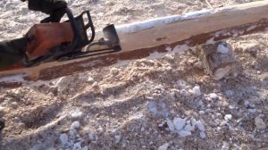 Ошкуривание соснового бревна бензорубанком