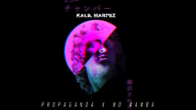 DJ SNAKE VS SHECK WES - MO MAMBA PROPAGANDA [KALIL MARPEZ MASHUP]