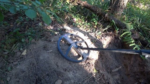 Накопал кучу медной ЧЕШУИ в лесу Подмосковья смотреть онлайн
