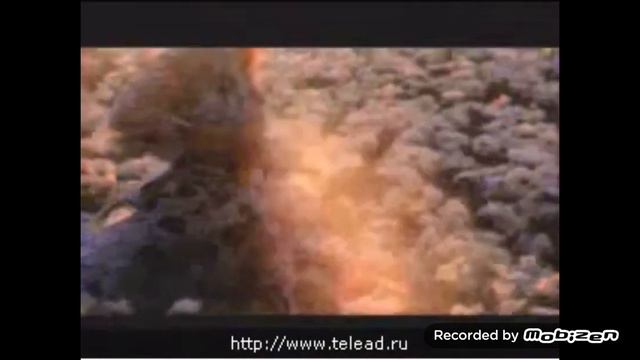 gucci by flora eau de toilette аромат для женщин 2009 реклама смотреть онлайн