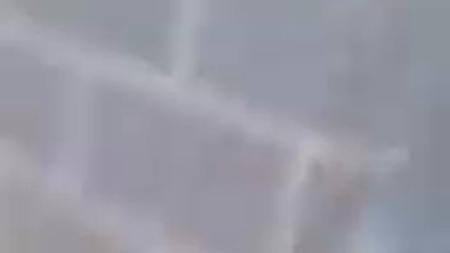 Као мани Тайландская порода кошек считаеться талисманом счастья смотреть онлайн