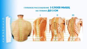 Тренажер-массажер OSTEOPRAV - глубокое расслабление 3 слоев мышц. Улучшение циркуляции крови