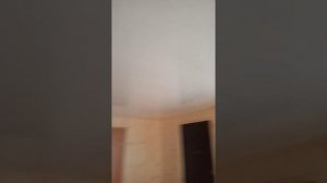 Бытовка 8*3м