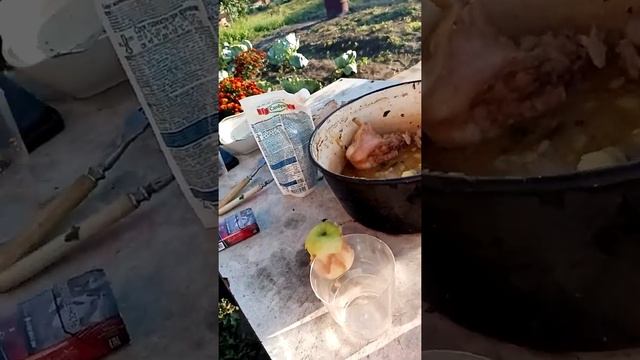 Похлёбка из кролика! Вы удивитесь! смотреть онлайн