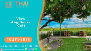 View Ang House Café. Кафе в Паттайе