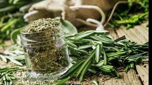 Лечим пониженное давление в домашних условиях