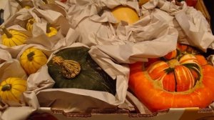 Как хранить тыкву в домашних условиях