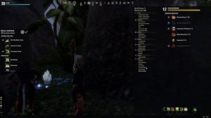 [18] The Elder Scrolls Online (Arcanist)