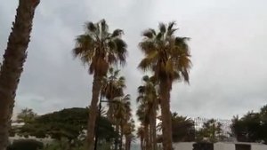 Тенерифе,  плайя де лас Америкас,  прогулка к морю, сегодня  начался циклон