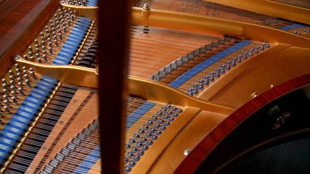 FOR SALE: Bluthner 6'6" Grand Piano - Victorian Art Case in Rosewood Finish смотреть онлайн