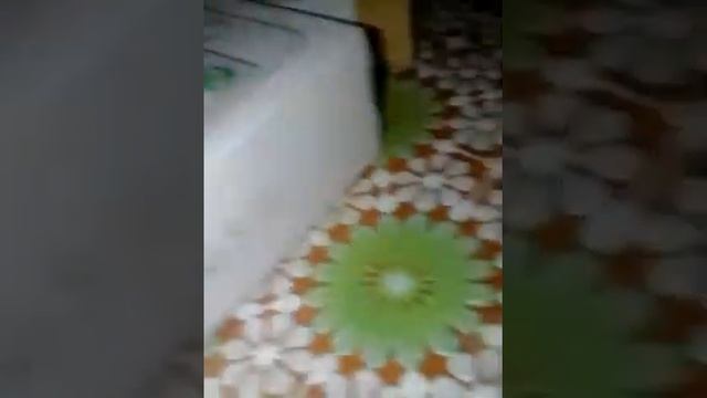 Обзор двух телефонов смотреть онлайн