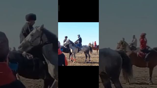 Абдусалом полвон смотреть онлайн