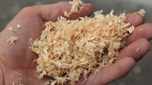 Самый простой и гениальный способ выращивания зеленого лука дома без земли и горшка. Дачные советы