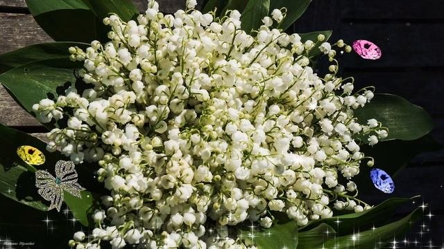 С Днём Рождения!  Самое красивое музыкальное поздравление женщине.