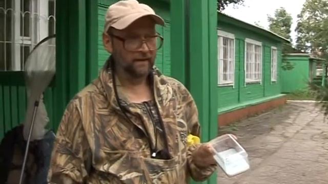 Энтомолог Владимир Дубатолов новый вид бабочки поймали под Хабаровском смотреть онлайн