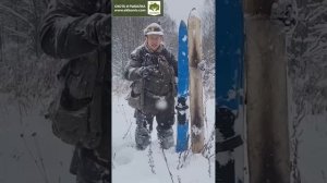 Про лыжи с камусом