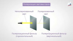 Поперечность световых волн. Электромагнитная природа света