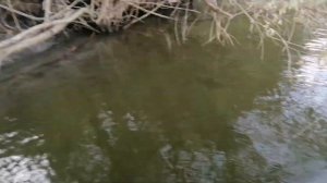 РЫБАЛКА НА ОБИ СЕНТЯБРЬ 2023г