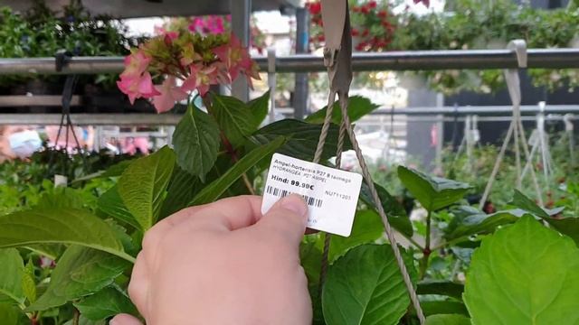Сборы и переезд на дачу.Покупка рассады цветов в питомнике саженцев.Наша дача.Мама оценивает.Влог