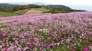 Топ лучших любовных песен саксофона,гитары и фортепиано-Сладкие мелодии любви,Тихое кафе.Sax-Piano.