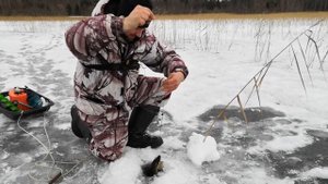 ОСТАВИЛИ САМОЛОВКИ НА ДВА ДНЯ БЕЗ ПРИСМОТРА! ЛОВЛЯ ЩУКИ НА НАЖИВКИ! ПРОВЕРКА САМОЛОВОК!