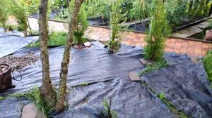 Советы по созданию клумбы.