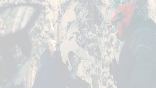 2020 Ski-Doo Expedition смотреть онлайн