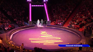 Детям росгвардейцев показали представление Нижегородского цирка «Ёлка в цирке»