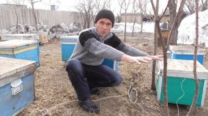 Установил обогрев пчелам/Помощь пчелам весной.