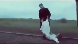 Я буду любить тебя