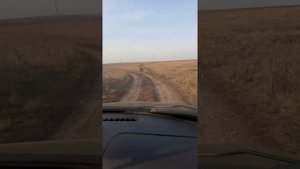 Не законно установили "лежачий полицейский "