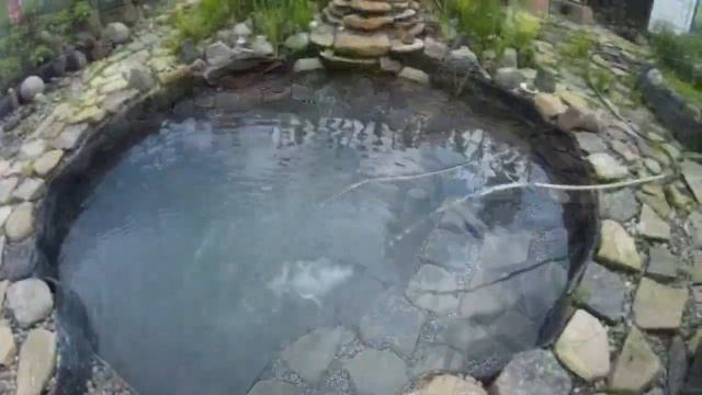 Как посадить Нимфеи в пруд на даче (обзор ошибок). смотреть онлайн