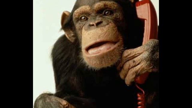 Сбой на узле связи смотреть онлайн